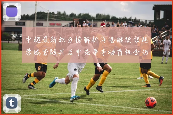 中超最新积分榜解析海港继续领跑蓉城紧随其后申花争夺榜首机会仍在