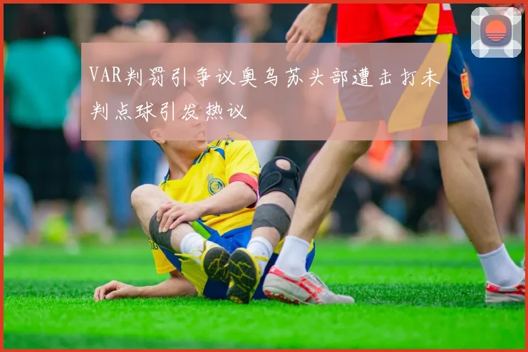 VAR判罚引争议奥乌苏头部遭击打未判点球引发热议