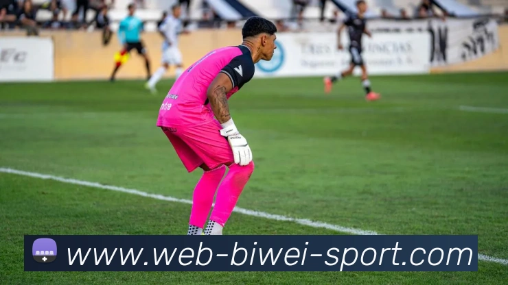 必威体育APP 高清赛事图